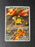 Pokemon—Numel #223–Illustration Rare—Ascended Heroes—NM