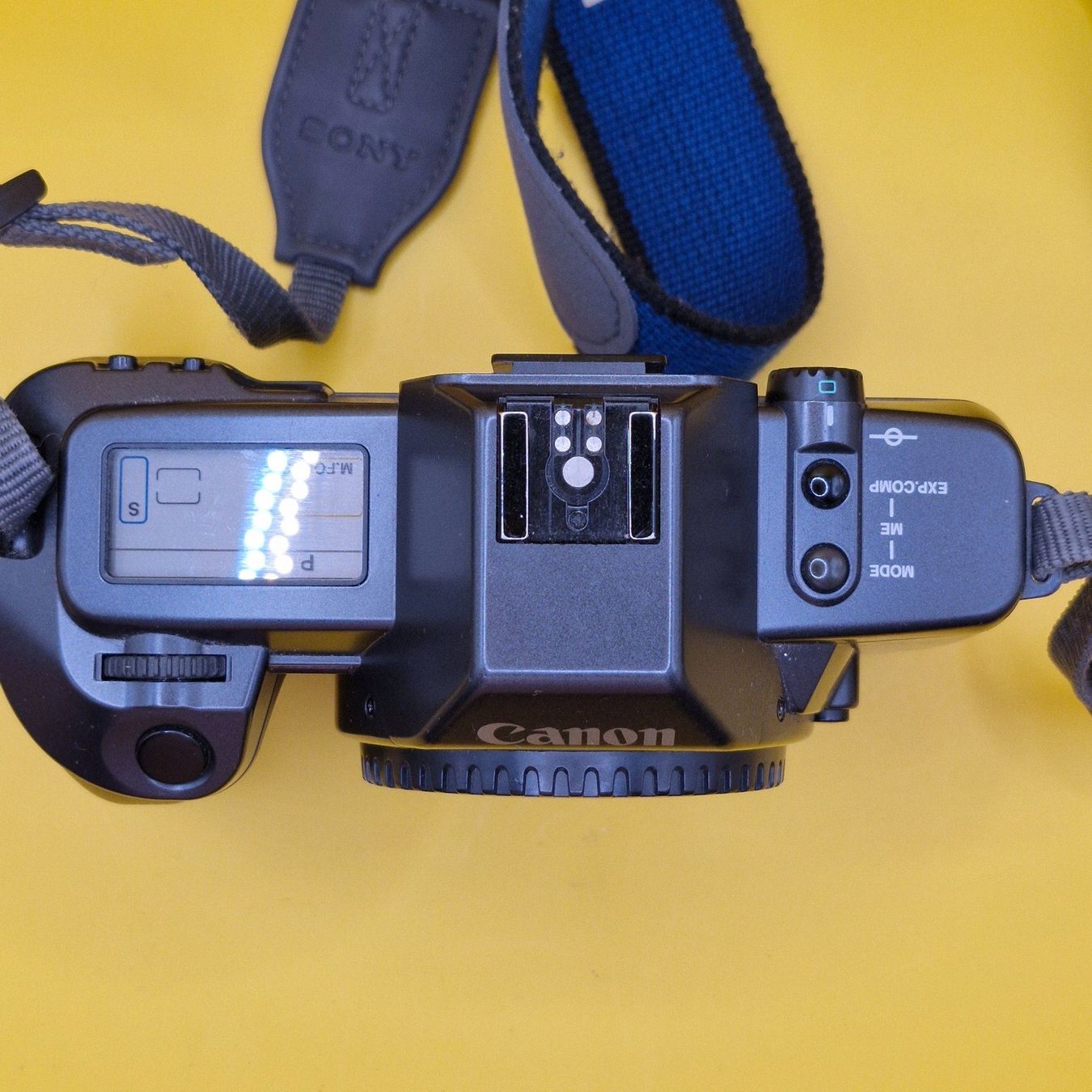 Canon Kamera: Canon EOS 600 Body – Gebraucht aus Zürich von mbrunner48 2