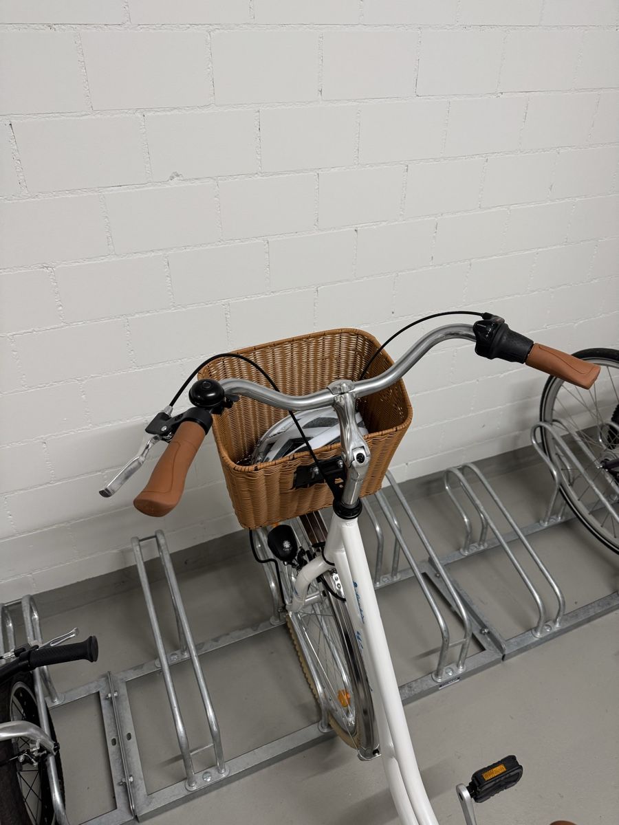 Biciclette: City Bike – Nuovo (secondo la descrizione) da Buchs ZH venduto da Skovi73 1