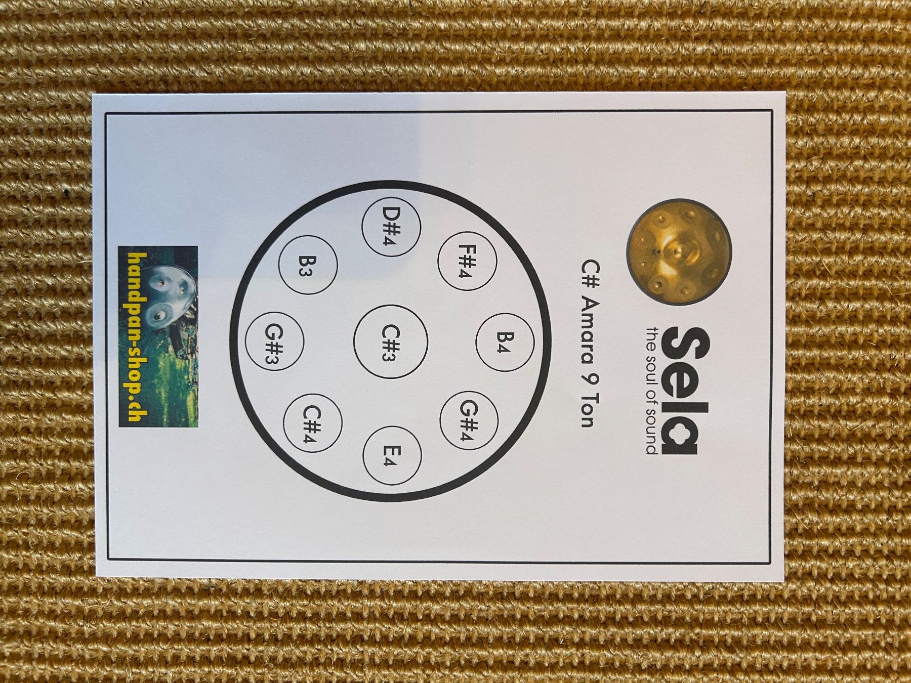 Musikinstrumente: Handpan SELA Gold C# Celtic minor – Gebraucht aus Walkringen von Estherus 2