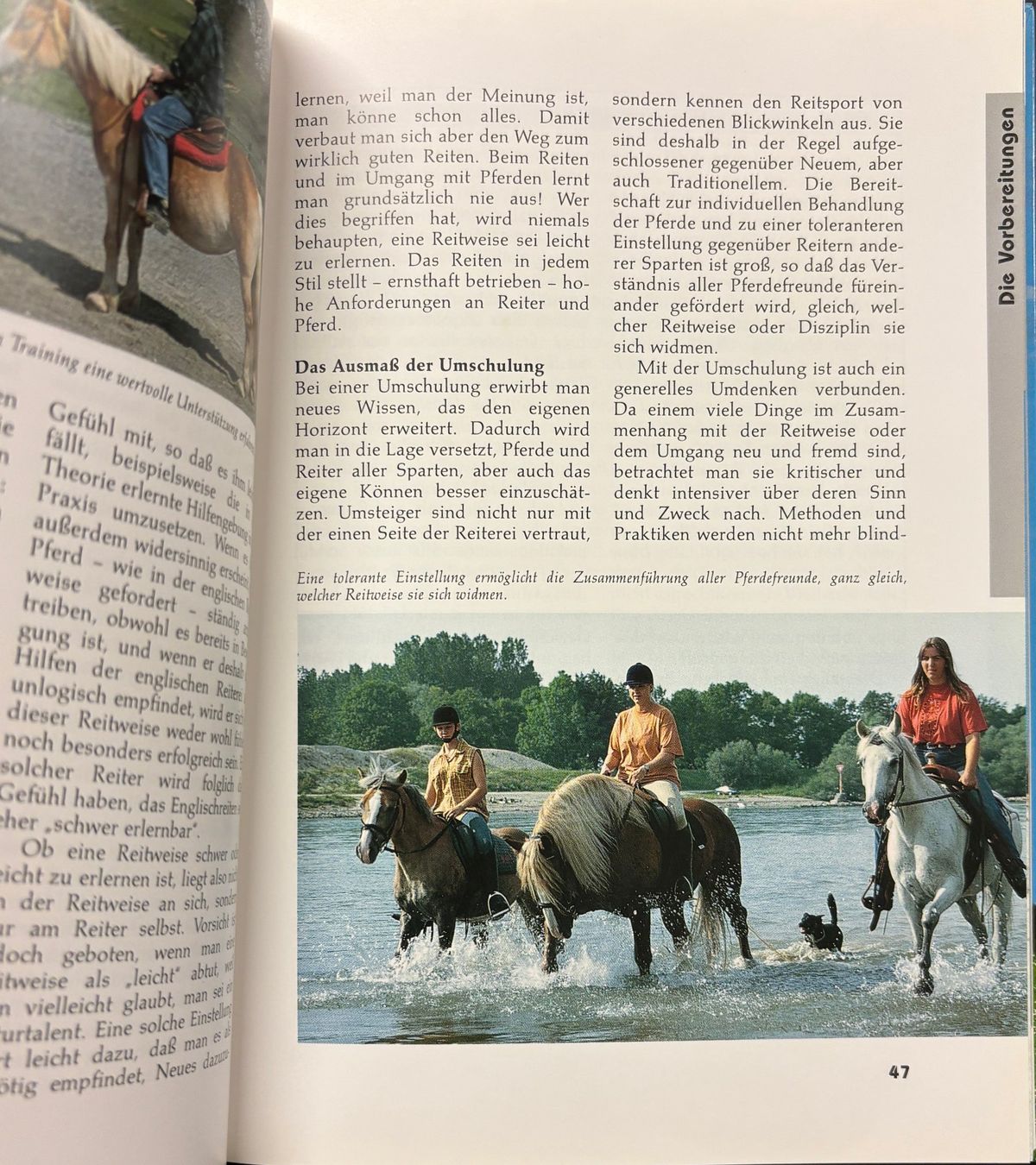 Libri: Western-Training für Umsteiger – Nuovo (secondo la descrizione) da Sarnen venduto da Livres 7