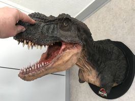 Riesige  T-Rex Büste ‚Jurassic Park‘ nicht Sideshow