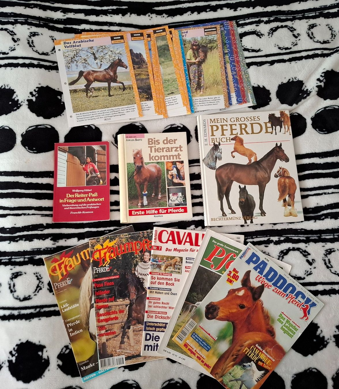 Libri: Pferdebücher und Zeitschriften – Usato da Oberurnen venduto da rotty80
