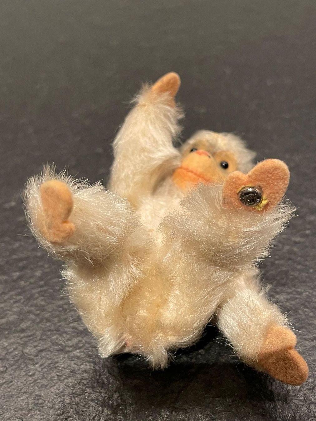 Steiff Giocattoli: Steiff Affe aus weissem Plüsch – Usato da Aarau venduto da waldrast 3