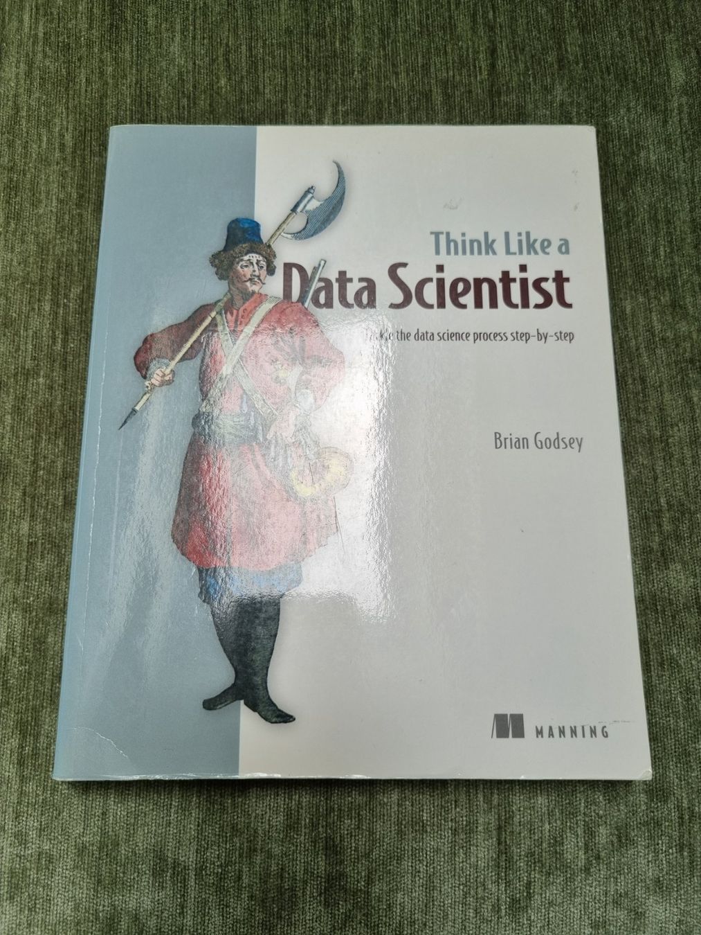 Libri: Think Like a Data Scientist – Usato da Zürich venduto da stpch