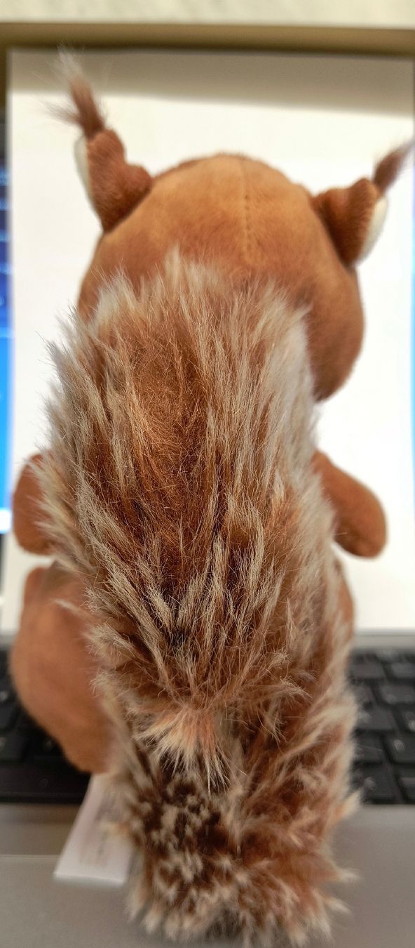 Spielzeuge: Eichhörnchen Plüschtier – Gebraucht aus Schöfflisdorf von kin_2dp9 2