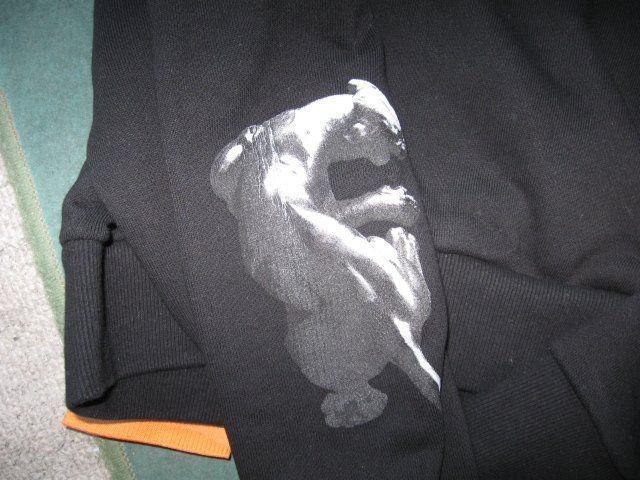 Maglioni & Felpe: FORGOTTEN FACES HOODIE!! – Usato da Zürich venduto da Rwinnie 1