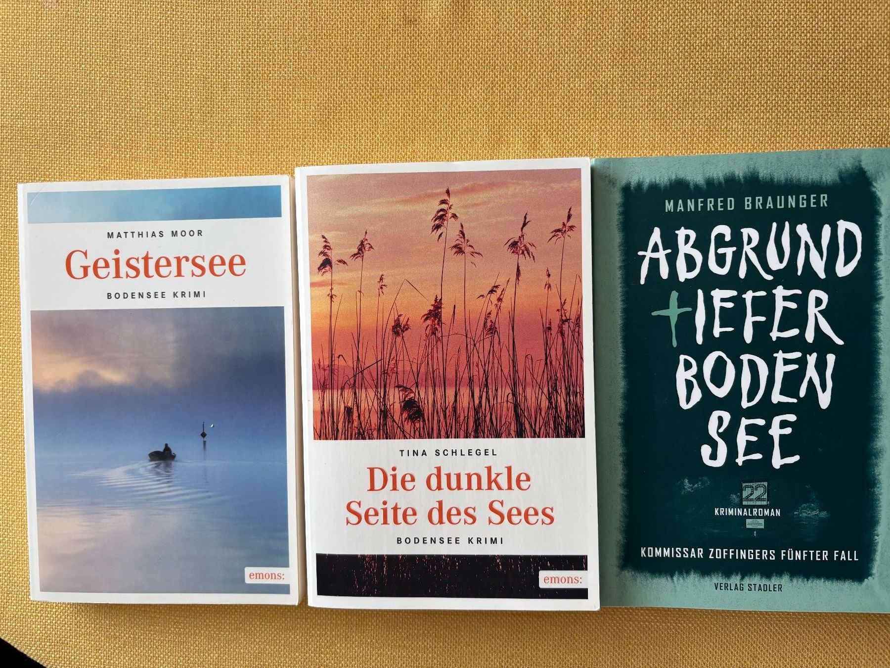 Libri: 9 Schweizer Krimis (Bodensee) – Usato da Oberweningen venduto da Gerini 4