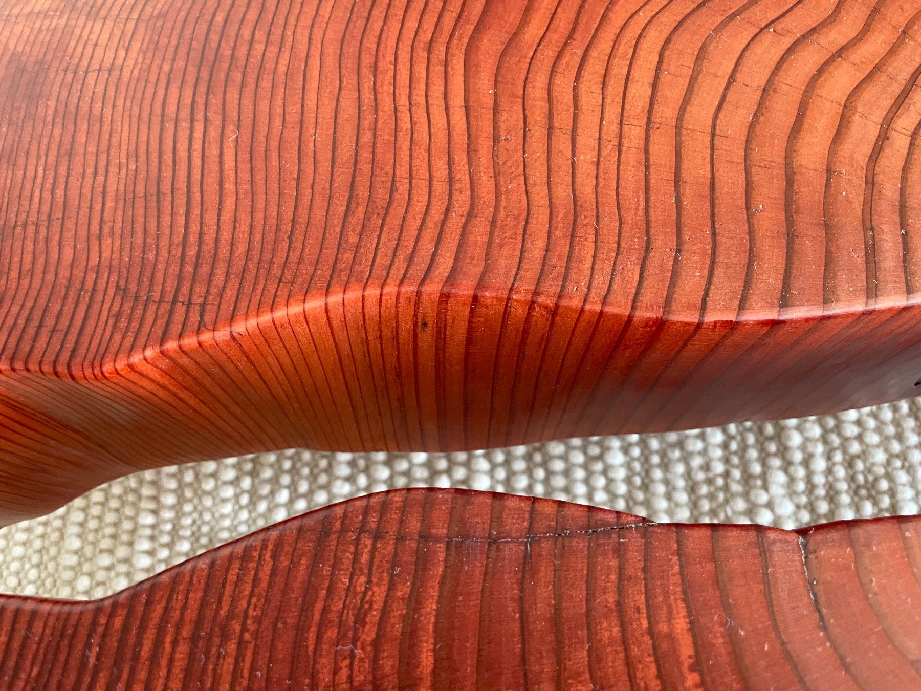 Tavoli: 130-year-old giant sequoia cookie slab lounge table – Nuovo (secondo la descrizione) da Meilen venduto da TN20 6