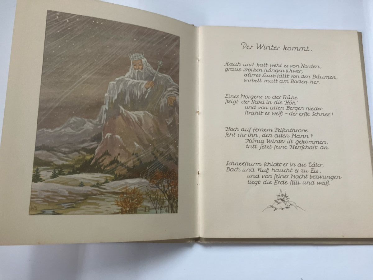 Libri: Schnee und Eis Nora Scholly – Usato da ZUERICH venduto da Carolus1 2