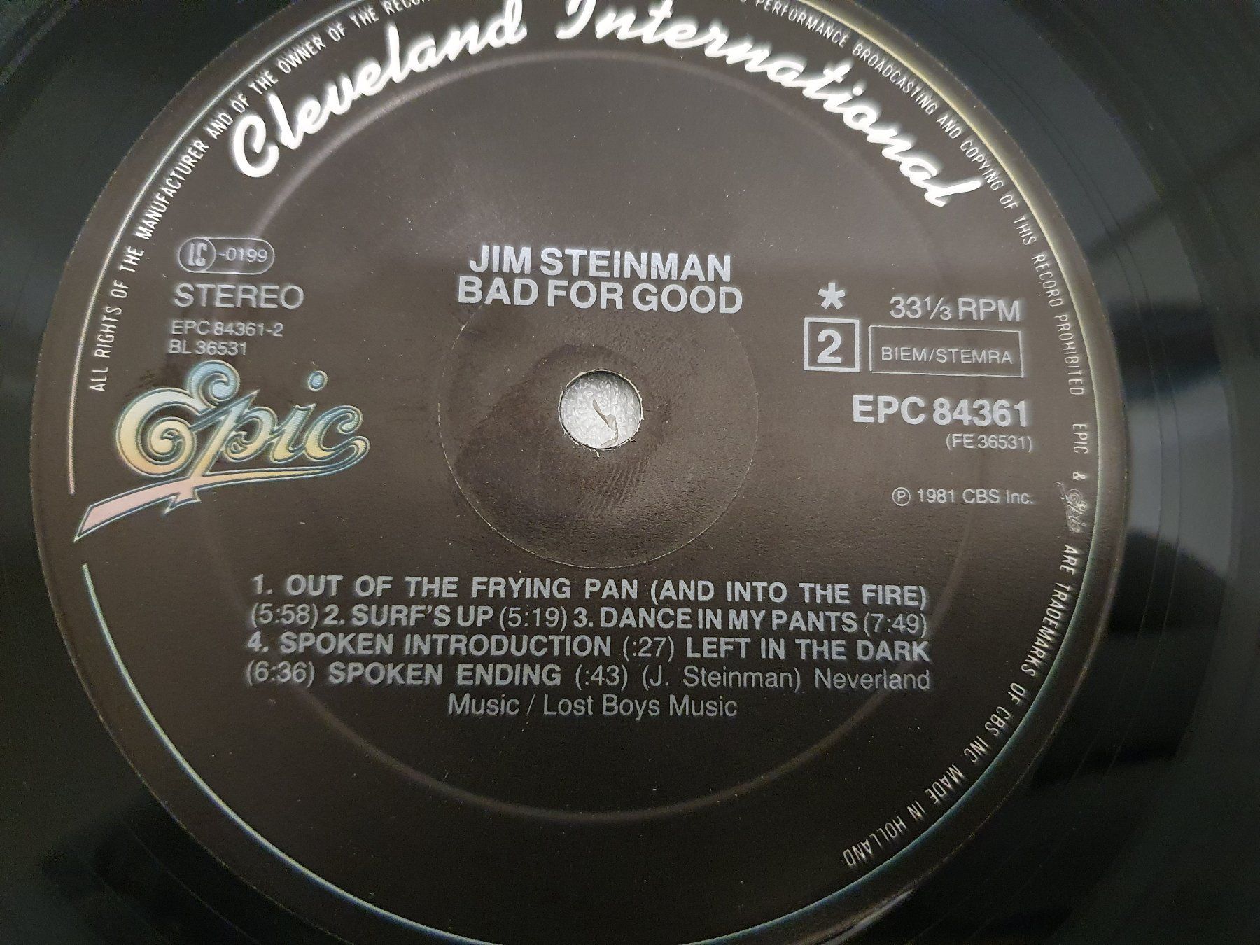 Dischi in vinile: Jim Steinman – Bad For Good – Usato da Uster venduto da Vinyl-Leidenschaft 5