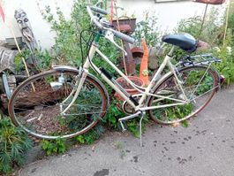 Velo