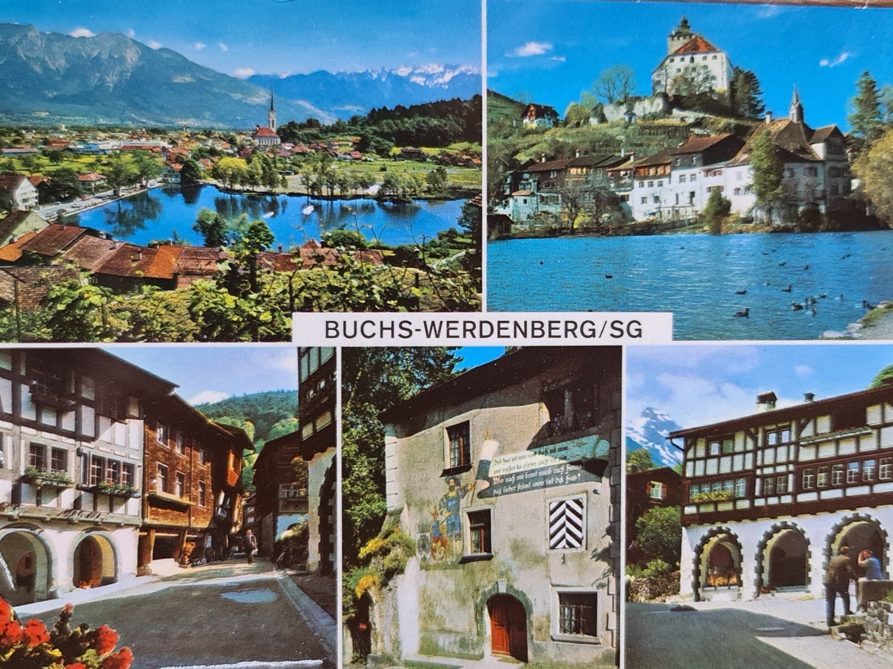 Cartoline postali: Ansichtskarte Buchs Werdenberg 1981 – Usato da Dintikon venduto da Vexi