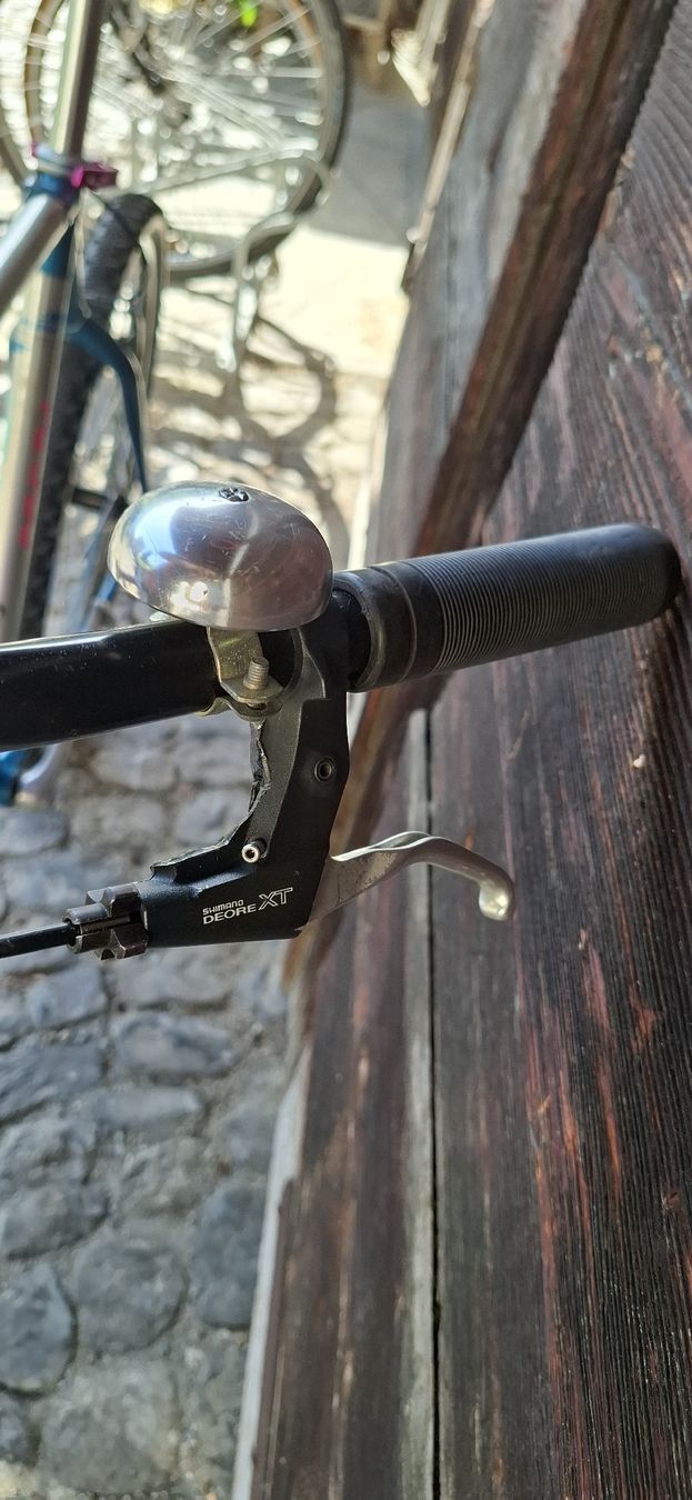 Raleigh Velos: Kult MTB Raleigh – Gebraucht aus Adliswil von trujillo01 9