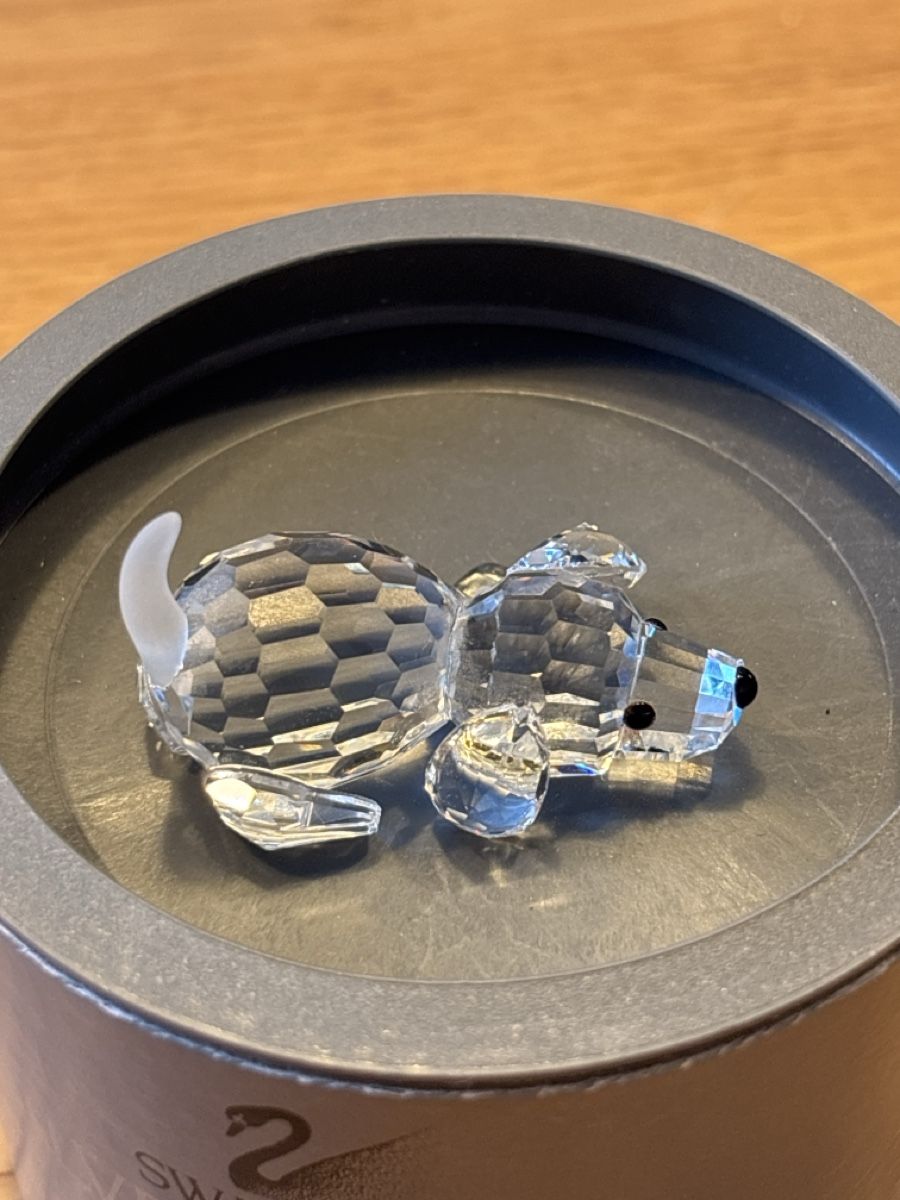 Swarovski Tutte le decorazioni: Swarovski Welpe liegend Originalbox – Usato da La Plaine venduto da Spooty67
