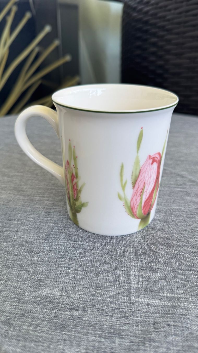 Villeroy & Boch Piatti: Villeroy Boch Tasse New – Nuovo (secondo la descrizione) da Zürich venduto da Privat4444 1