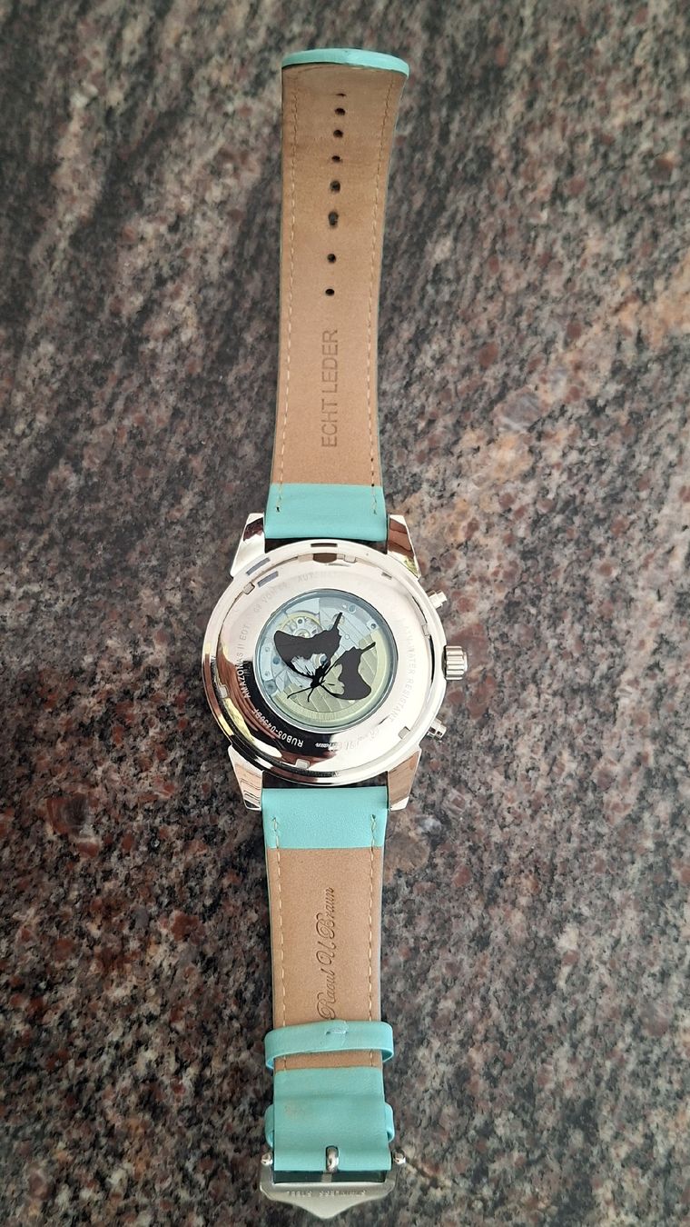 Braun Orologi: Raul u Braun – Usato da Galmiz venduto da Schlumpfi5 7