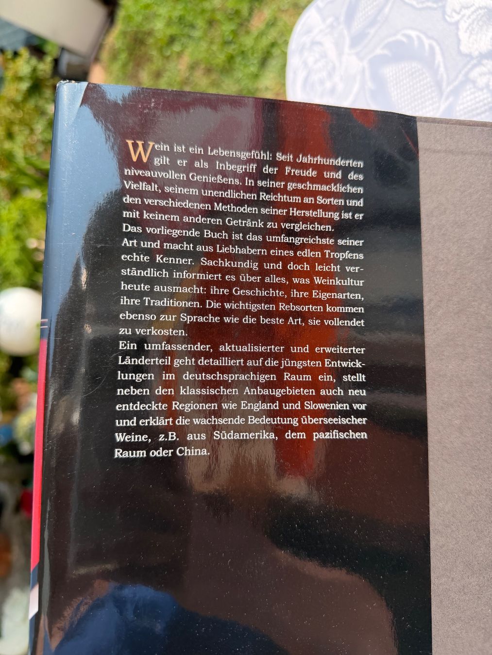Livres: Grosse Buch "Wein" top zustand – D'occasion à Cugnasco par tizianaq 1
