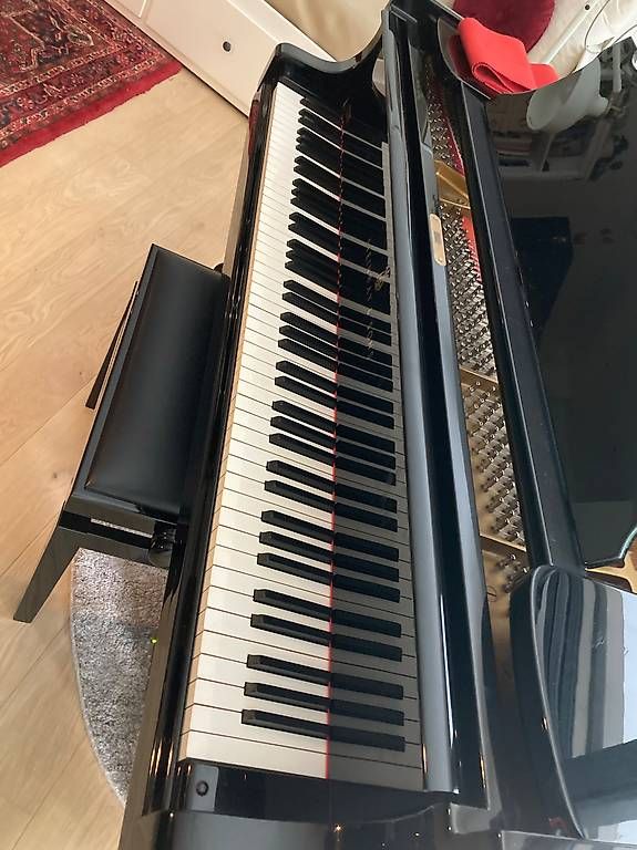 Instruments de musique: Magnifique piano à queue Steinway & Sons 155 S – D'occasion à Le Grand-Saconnex par Jacoline 5