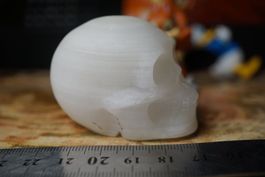 🕊️ Weißer Onyx Skull zu versteigern – pure Eleganz 💎