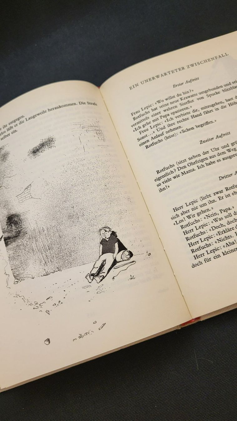Bücher: Buch ROTFUCHS Jules Renard – Gebraucht aus Basel von spinne02 8