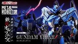 METAL ROBOT SPIRITS SIDE MS Gundam Vidar ASW-G-XX P-Bandai