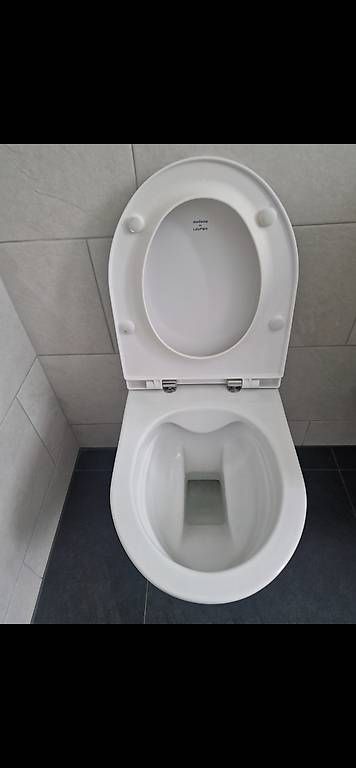 WC: Geberit Moderna Spülrandlos – D'occasion à Kollbrunn par Advanced-3000 2