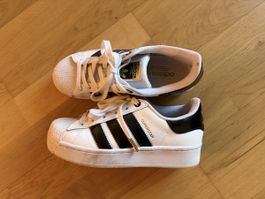 adidas superstar (37 1/3)