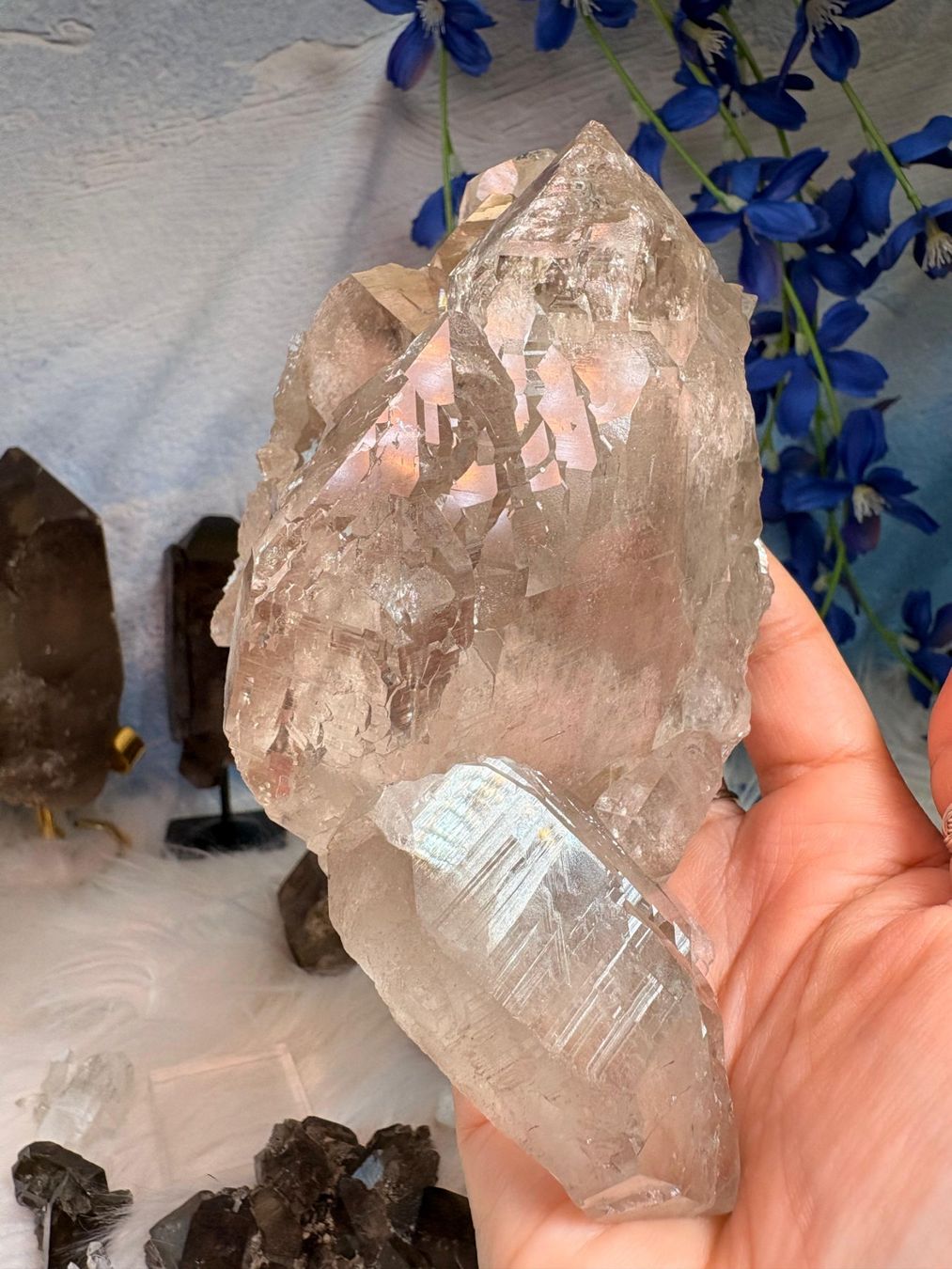 Pietre preziose: Rauchquarz Gwindel Grimelpass – Nuovo e nell'imballaggio originale da Neuheim venduto da m.hald 9