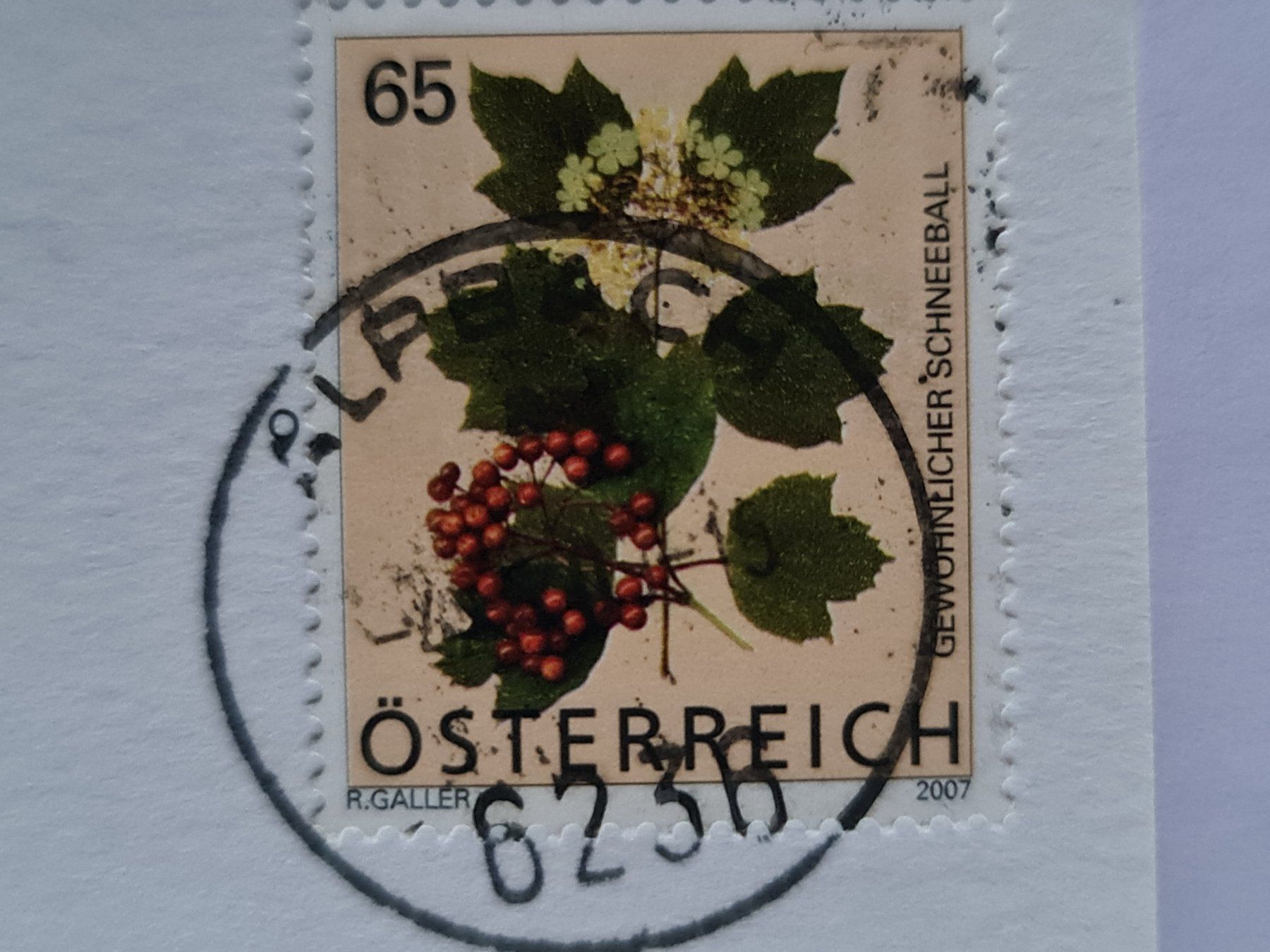 Ansichtskarten: Ansichtskarte Alpbach Tirol Österreich – Gebraucht aus Dintikon von Vexi 1