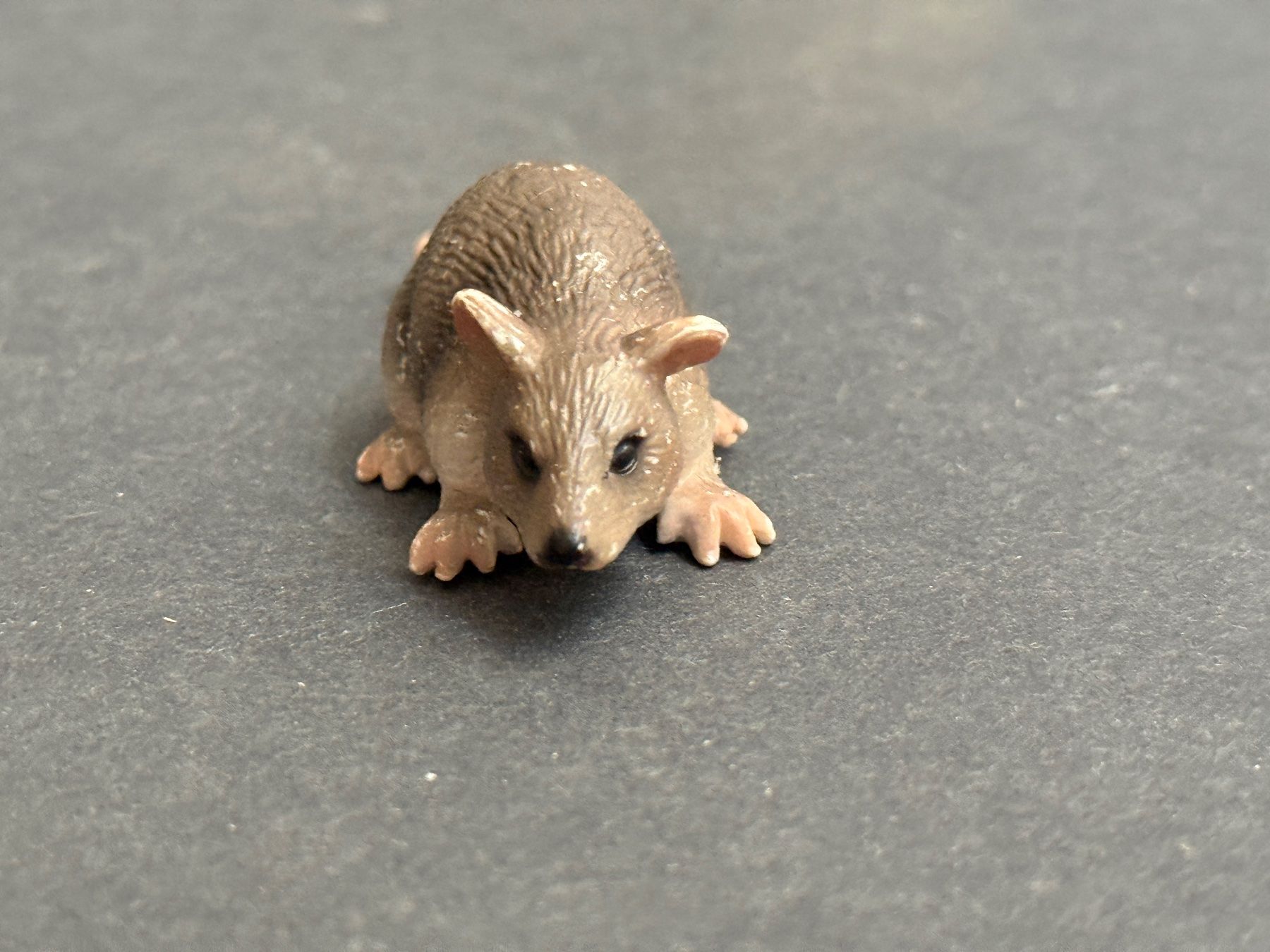 Schleich Statuette: Schleich 14405 Ratte – Usato da Ennetbaden venduto da mapa05 3