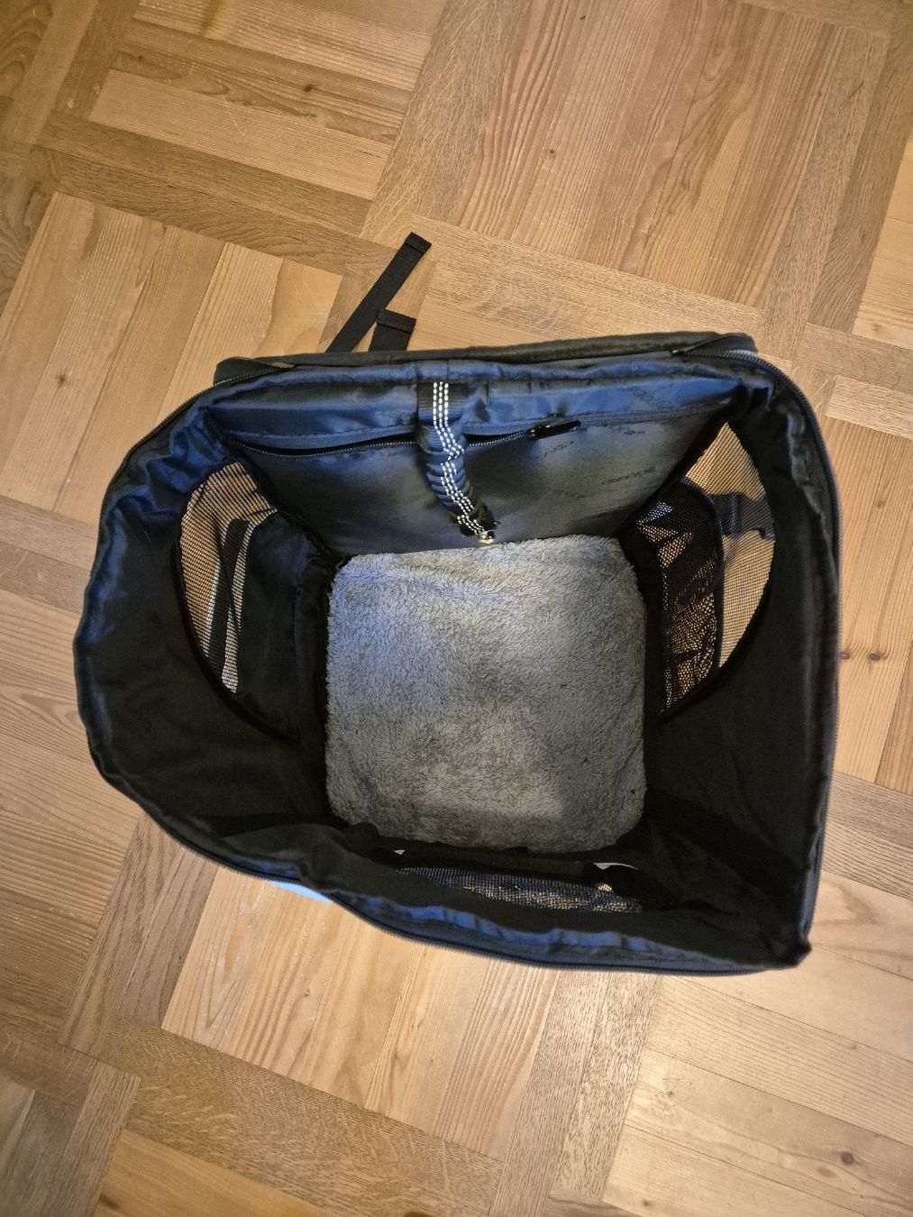 Zaini: Hunderucksack / Katzenrucksack – Usato da Bern venduto da cy_ro 1
