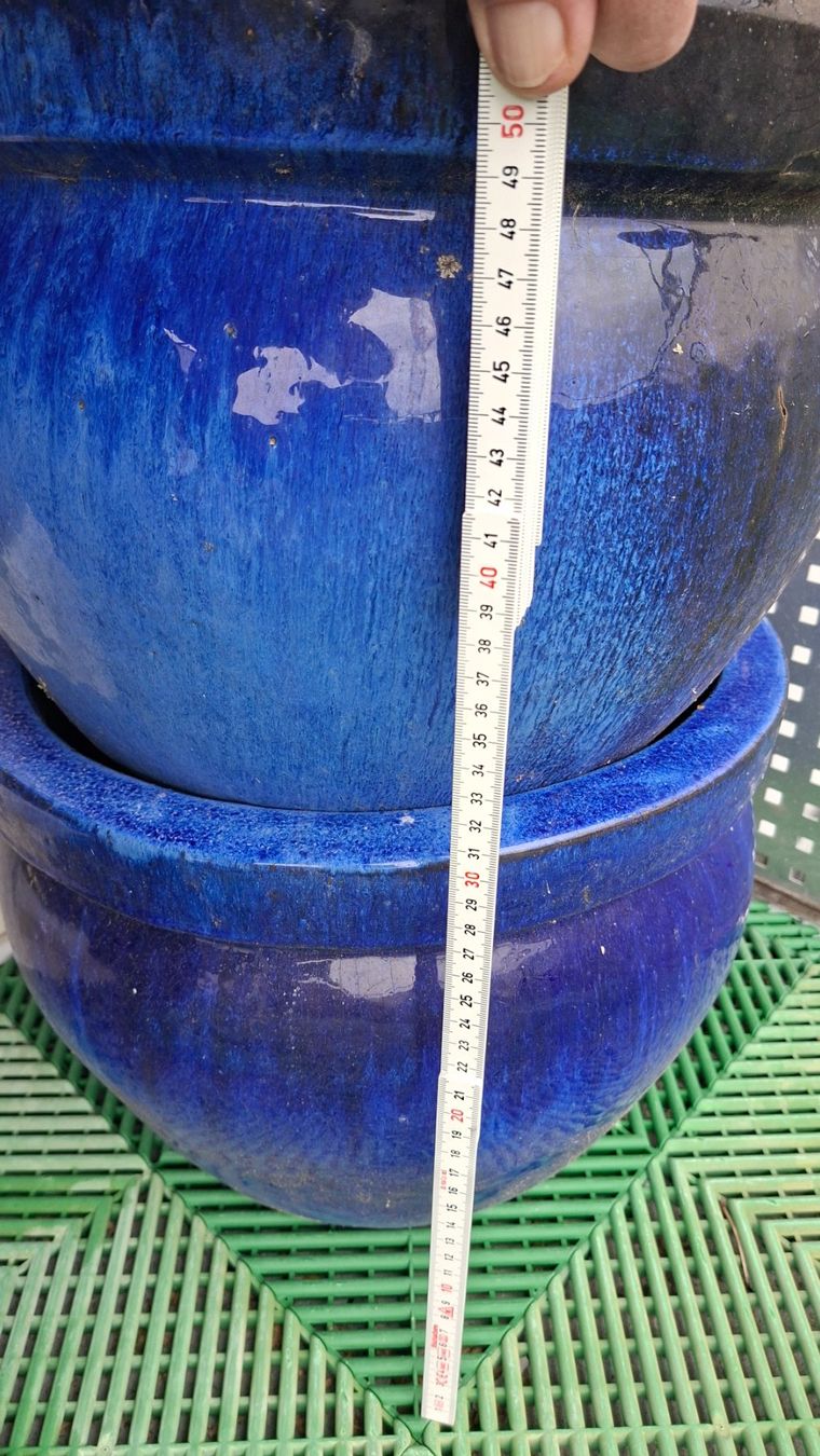 Pots de fleurs: Blumentöpfe – D'occasion à Konolfingen par pri304 1