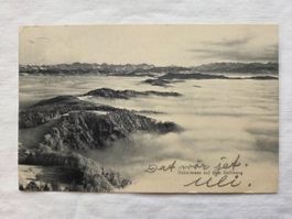 Antike Postkarte  Nebelmeer vom Uetliberg 1905