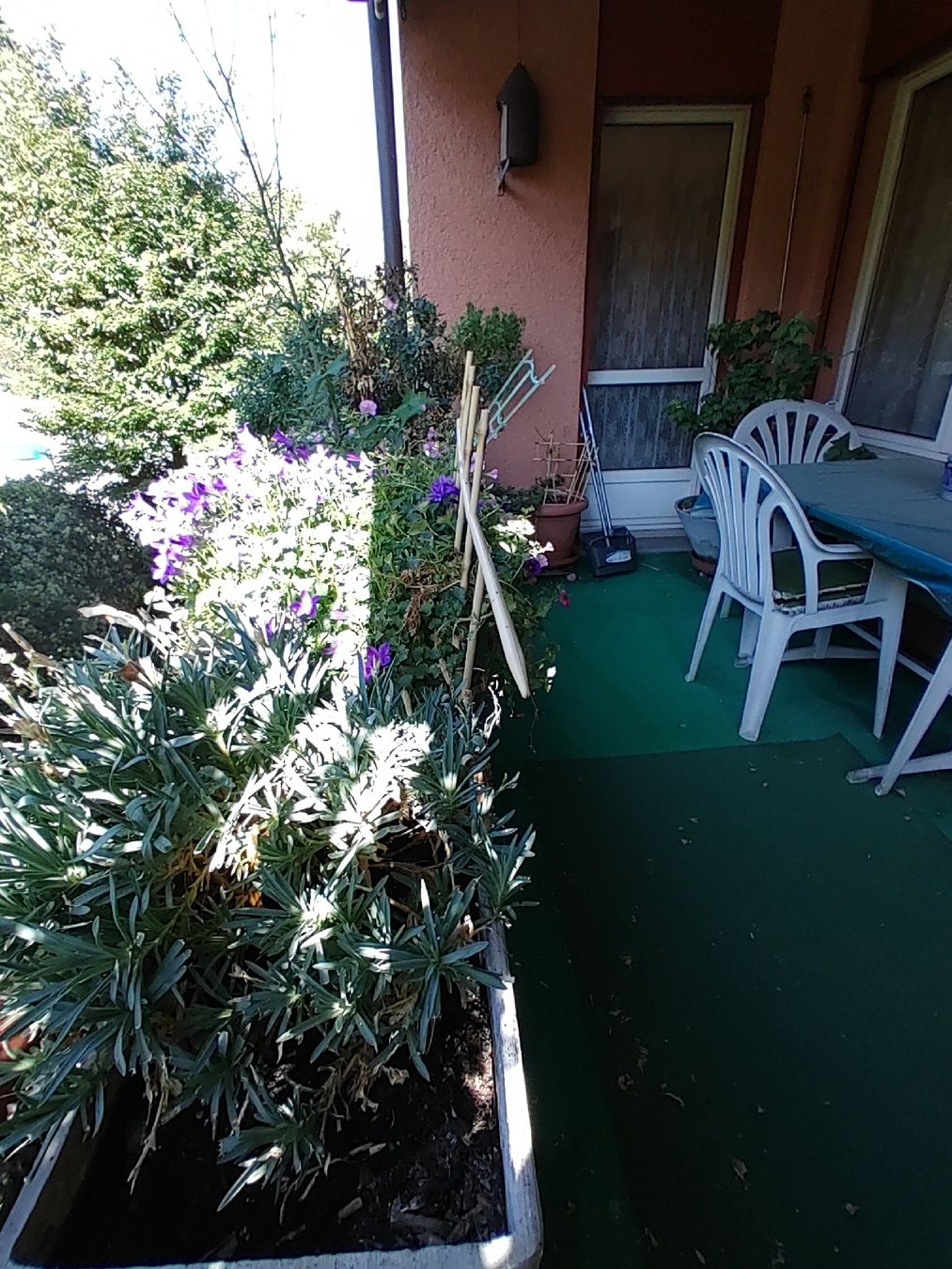 Pots de fleurs: Töpfe und Pflanzen  – D'occasion à Wädenswil par fajadi 3