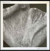 Black Monitor - Snake Of My Heart / Vinyl