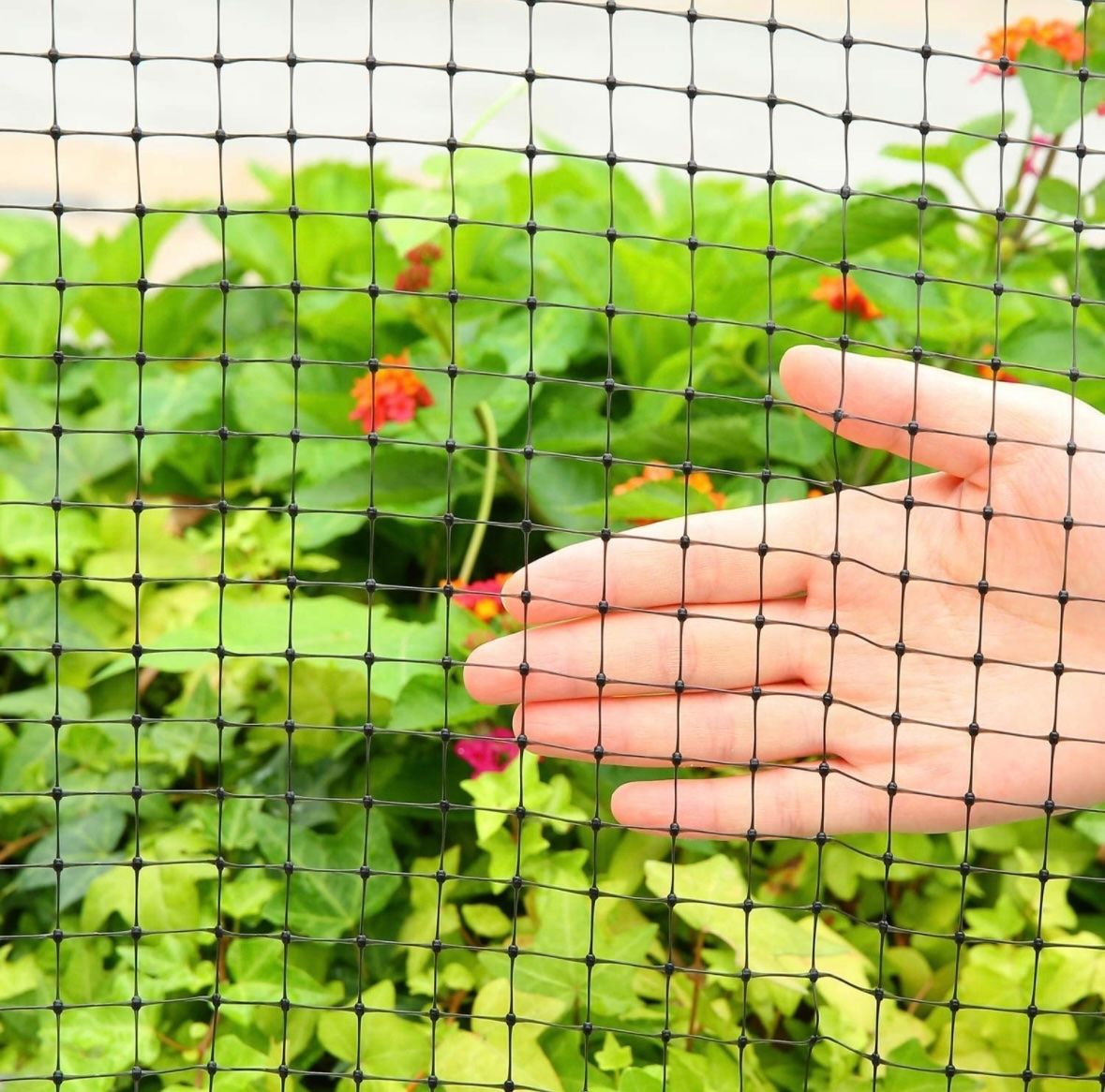 Griglie e Inferriate: Vogelschutznetz Gartennetz 2x20m – Nuovo e nell'imballaggio originale da Nuglar venduto da SaleRitter 1