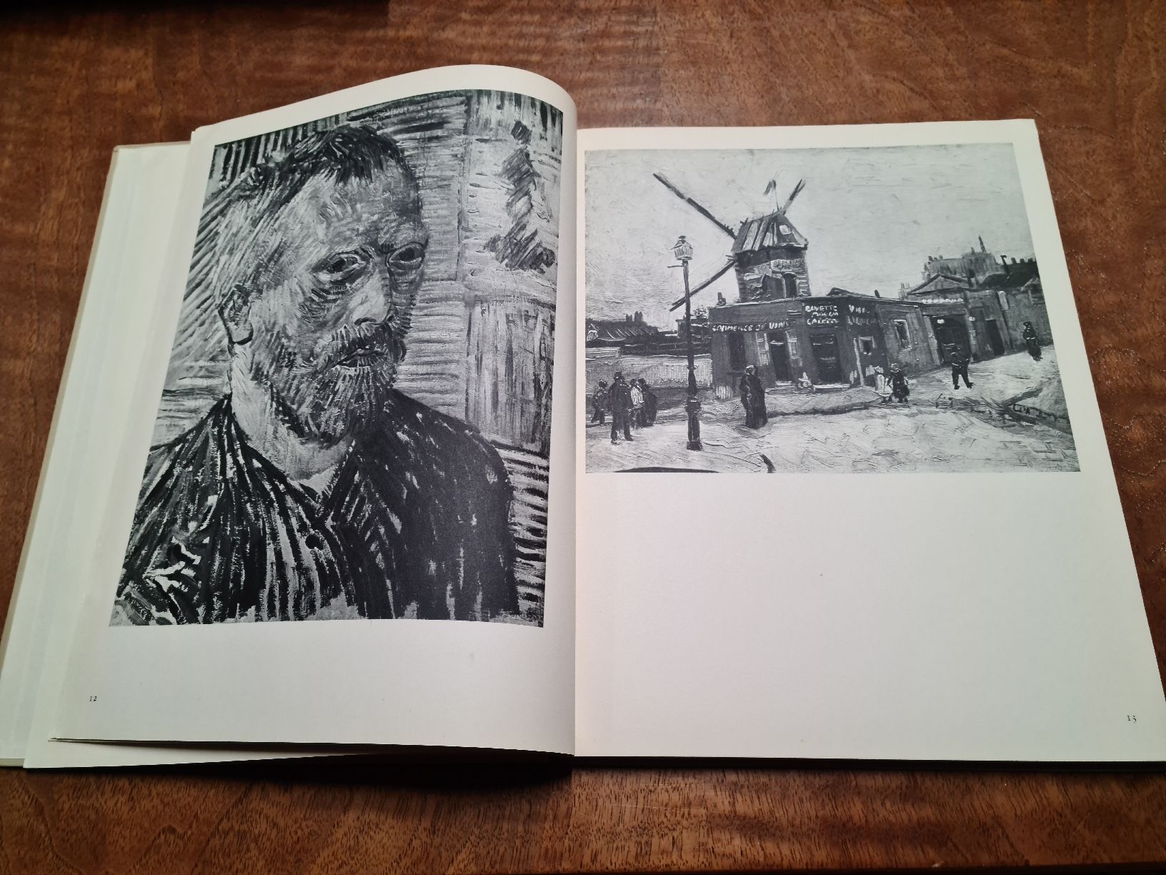 Bücher: Das tragische Schicksal des Vincent van Gogh – Gebraucht aus Erstfeld von Uhu1980 2