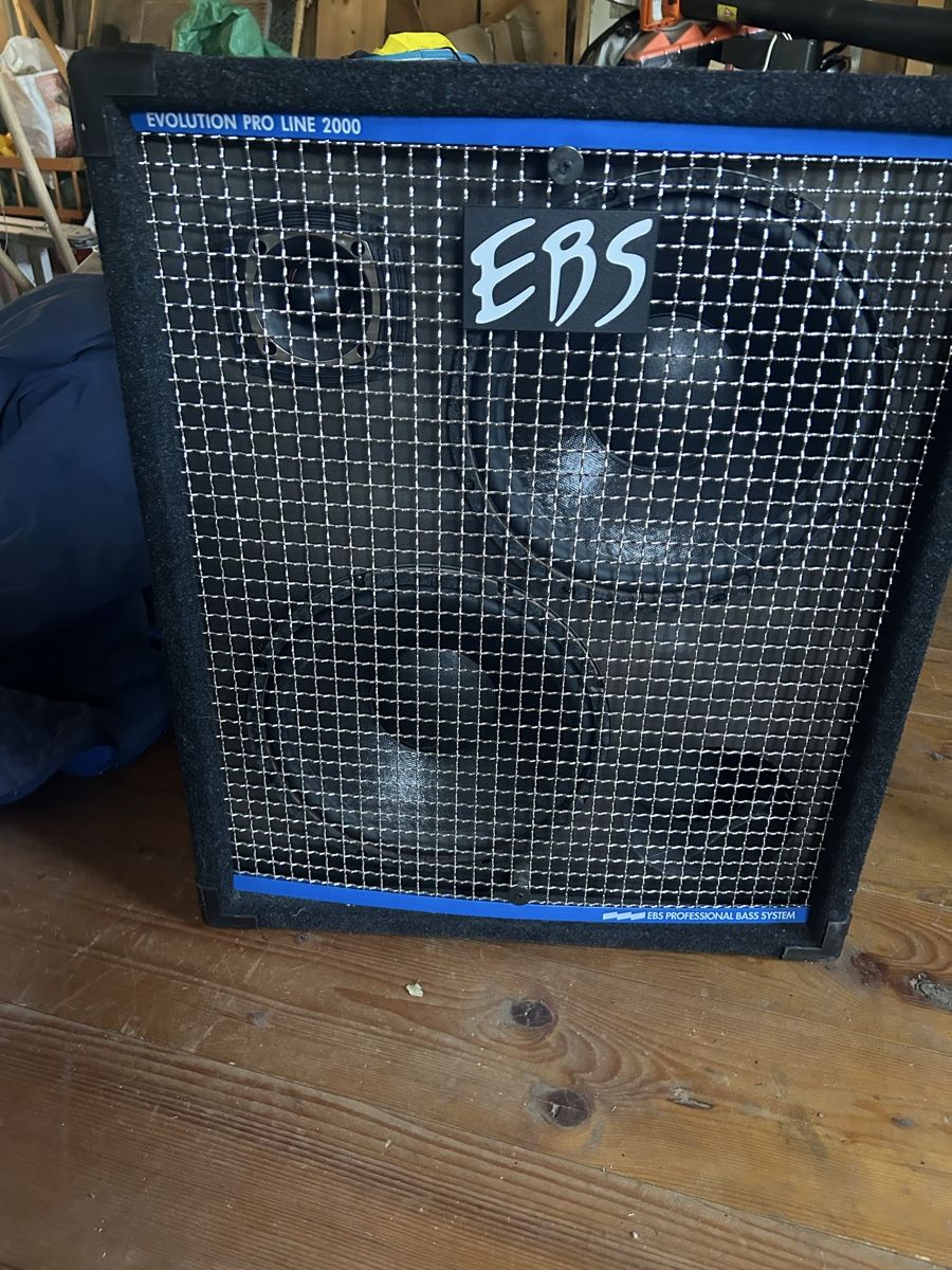 Casse acustiche: Ebs Proline 212 Bassboxe – Usato da Bennwil venduto da Buergin5