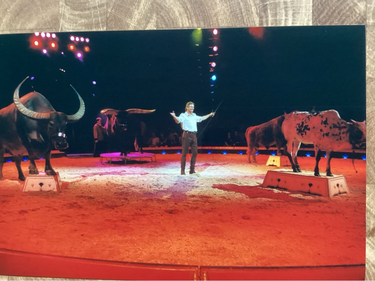 Foto & Immagini: Circus Knie Foto 2002 – Usato da Reichenbach i. K. venduto da astra2010