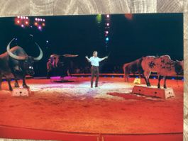 Circus Knie Foto 2002