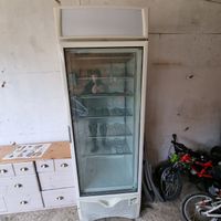 Tiefkühler mit glastür Gefrierschrank