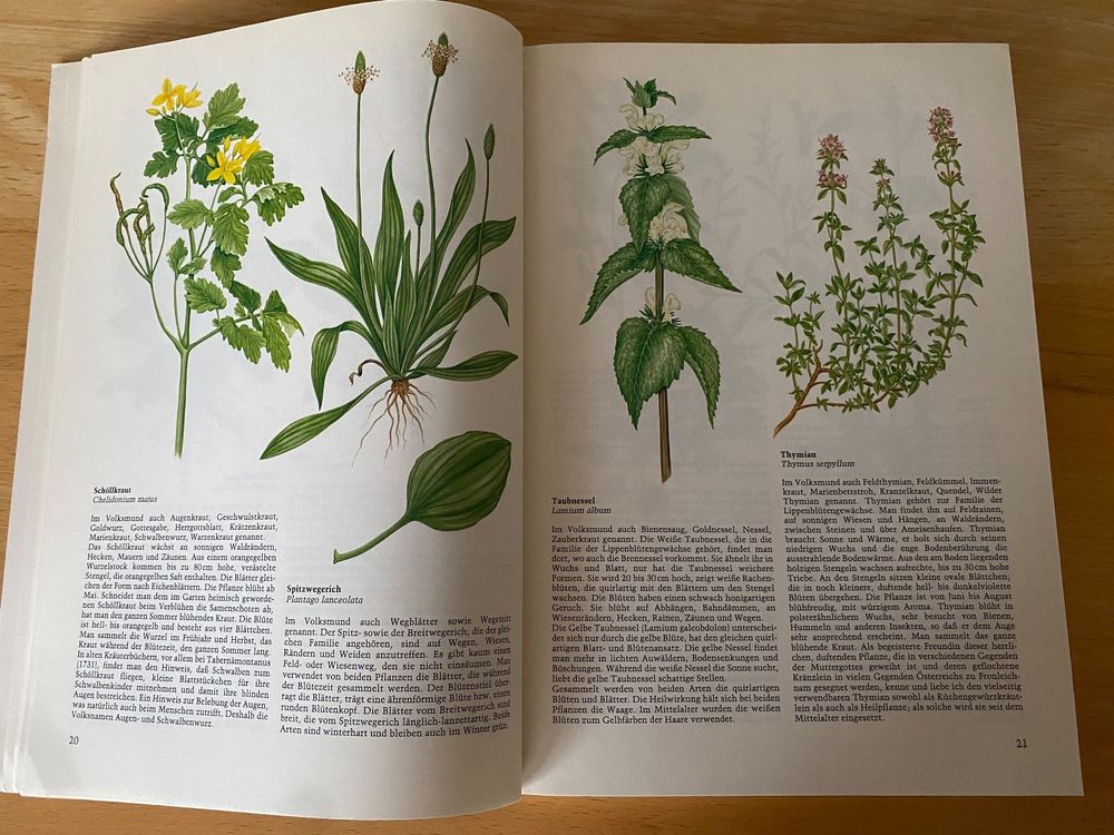 Heilkräuter aus dem Garten Gottes Maria Treben Kaufen auf Ricardo