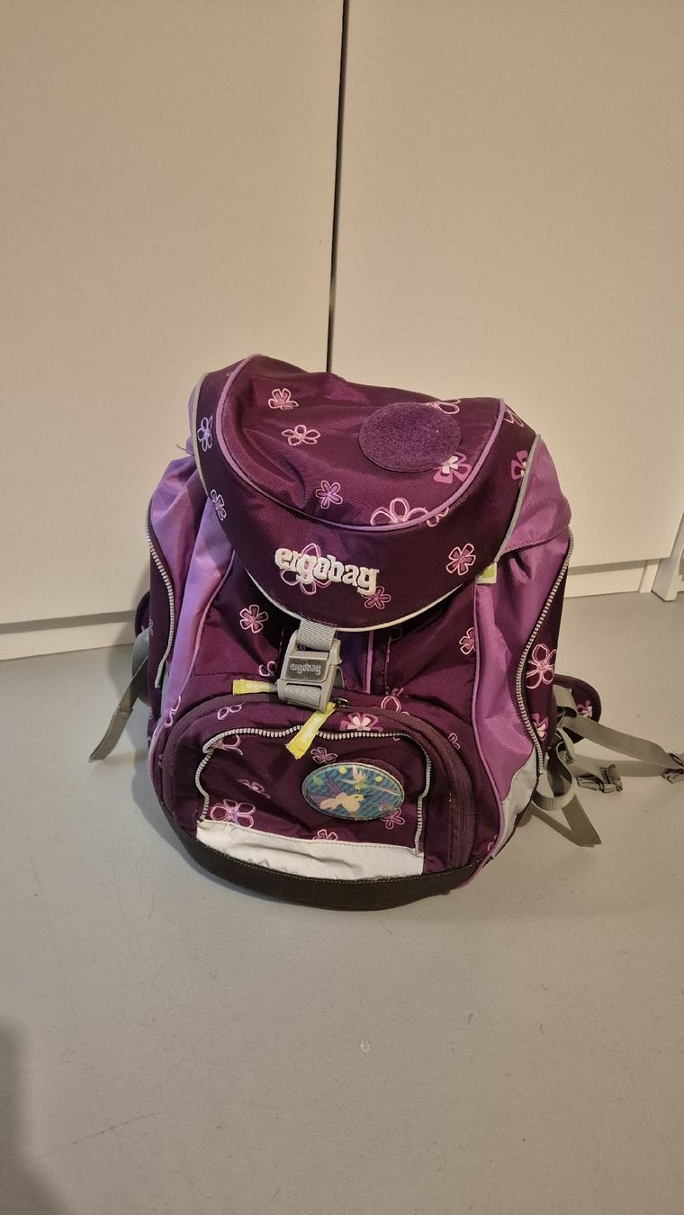 Ergobag Borse & Zaini: Ergobag Schulrucksack violett/rosa Mädchen mit Zubehör – Usato da Uttigen venduto da Mags78