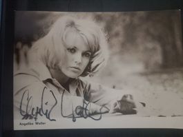 Angelika Waller - handsigniert -Autogrammkarte