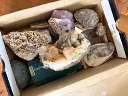 Sammlung aus Mineralien, Kristallen und Fossilien
