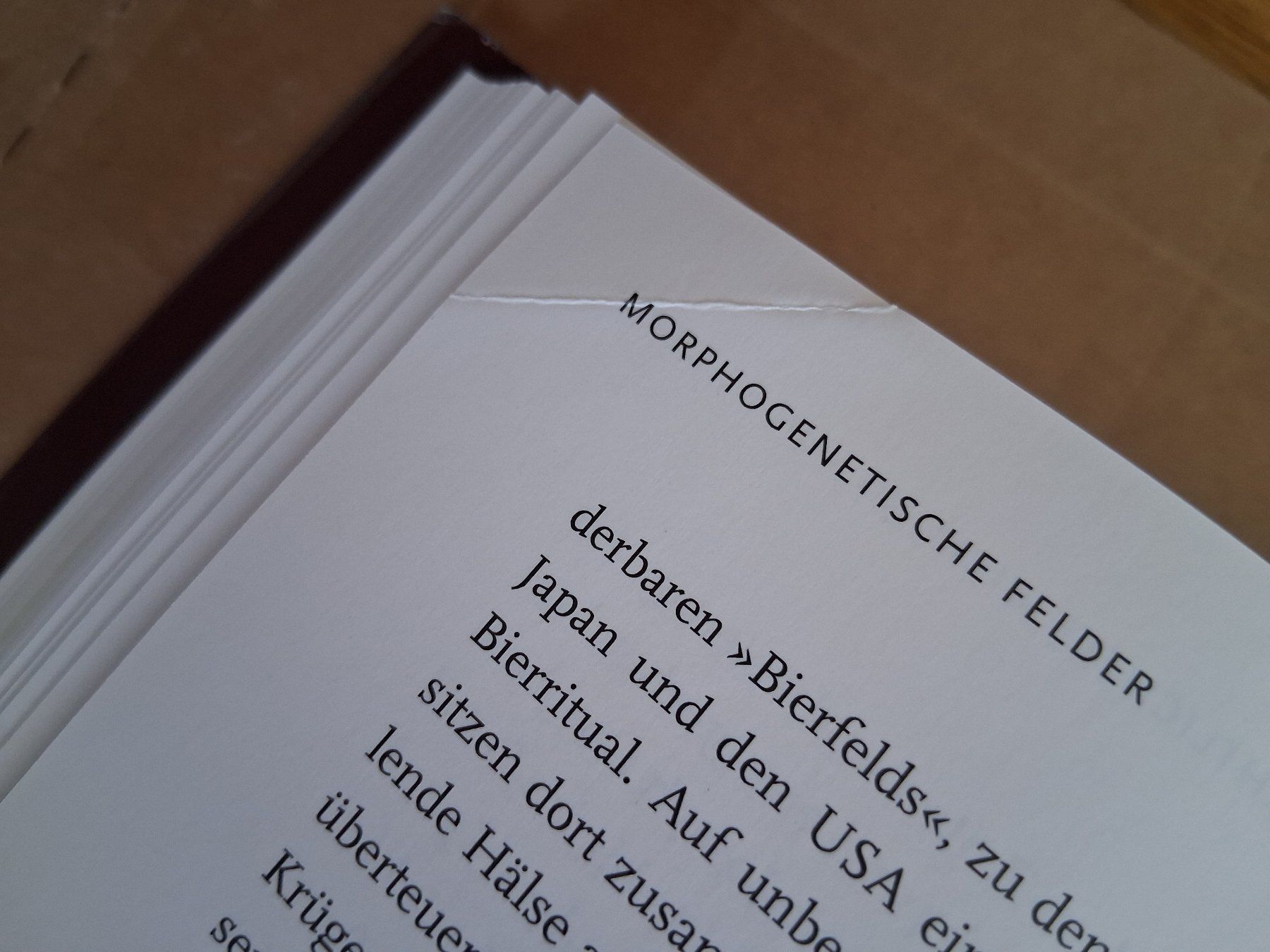 Libri: Die Schicksalsgesetze von Rüdiger Dahlke – Usato da Löhningen venduto da Fourbi18 8