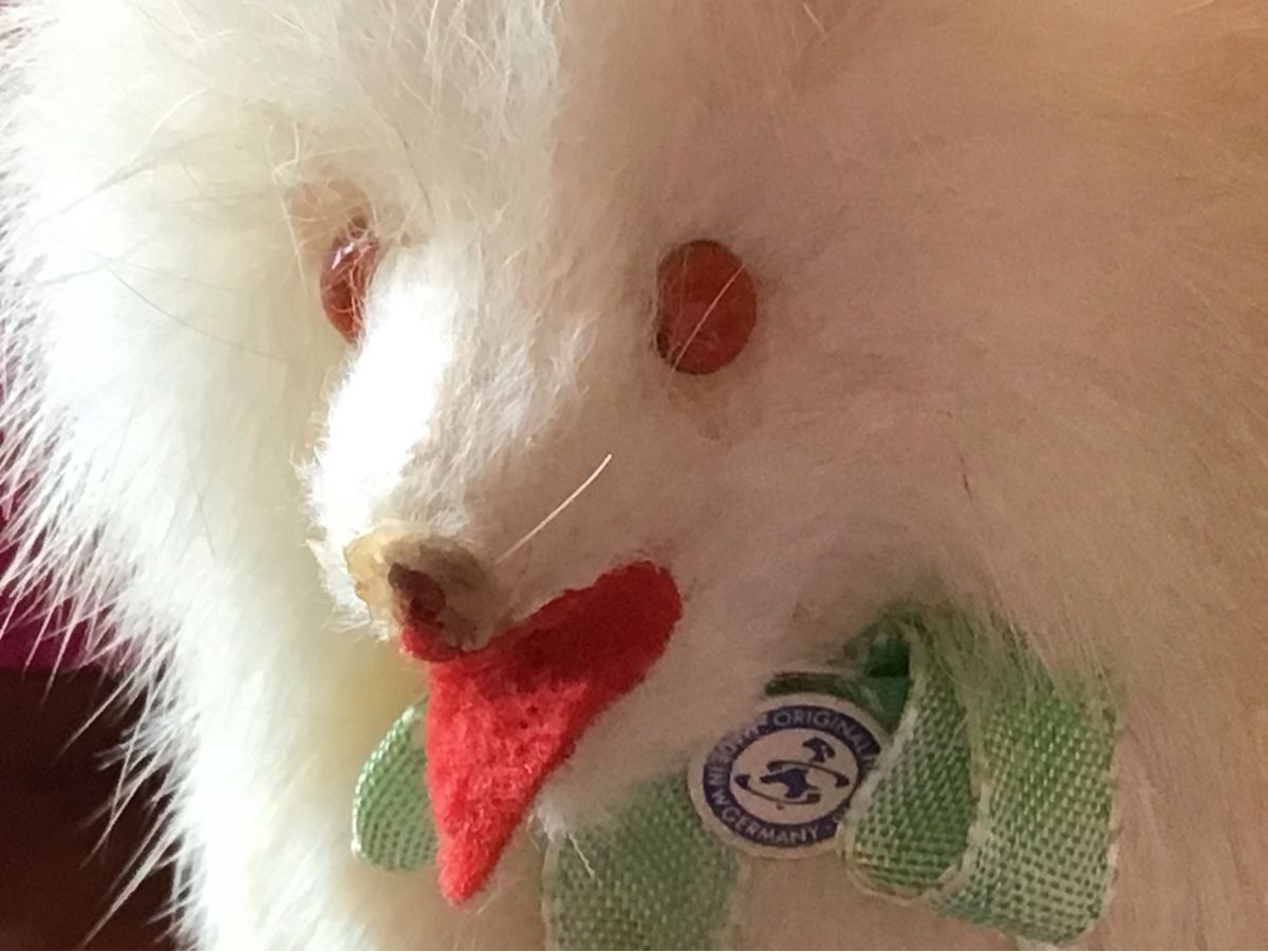 Giocattoli: Alter Echtfell Puppen Hund – Usato da St. Gallen venduto da Goldlilly 2