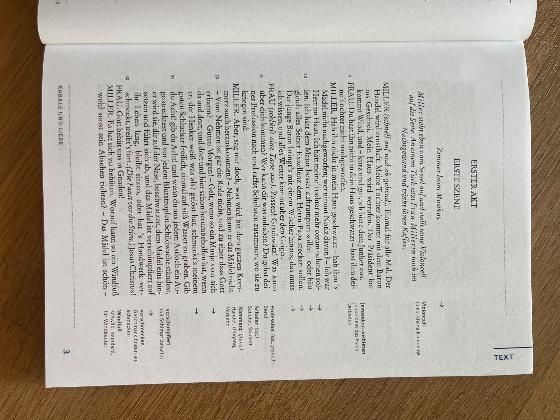 Libri: Kabale und Liebe von Friedrich Schiller - Textanalyse – Nuovo (secondo la descrizione) da Laupen BE venduto da lee_ym6v 4