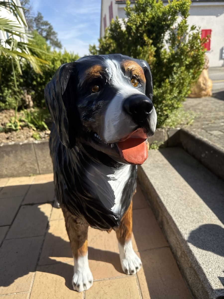 Statuette: Berner Sennenhund, Garten Deko,NEU! – Nuovo e nell'imballaggio originale da Zwingen venduto da Eiphone 4